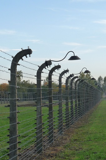 Auschwitz11